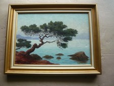 SUPERBE MARINE PIN AU BORD DE MER /  SIGNE RAYMOND GOUBERT PEINTRE D AVIGNON 84