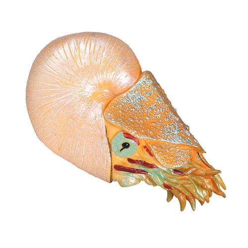 Déco aquarium figurines - aquarium,