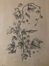 beau Dessin 1920 Fleur Fleurs