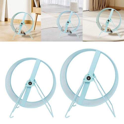 Roue exercice pour les - d'exercice,
