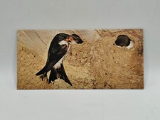 Nestlé MERVEILLES DU MONDE Carte N°69 "L'hirondelle de fenêtre"