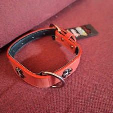 Collier pour chien en cuir