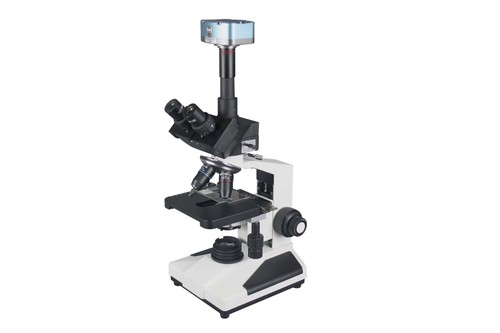 2000x professional research - 2000x,