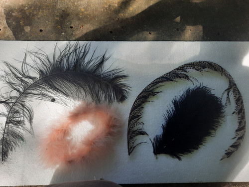 Application ancienne plume - 4,