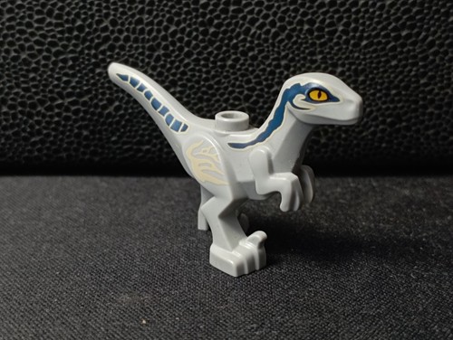 Velociraptor bleu - velociraptor,