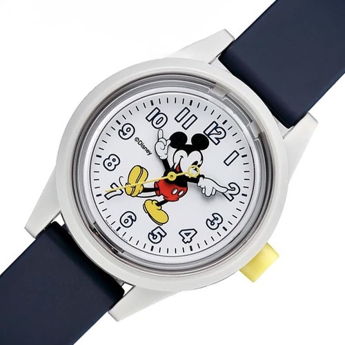 Montre citizen rp29 800 - rp29-800, q&q