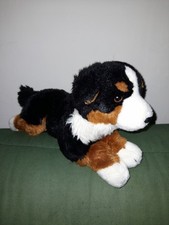 H/ Bouvier Bernois Chien