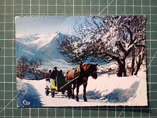 Xh963 cpa circa 1960 - xh963, cheval