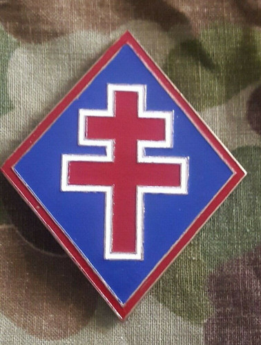 Insigne 1ere dfl - insigne, france