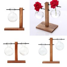 Plante Terrarium avec support en bois  verre Vases hydroponiques Station de