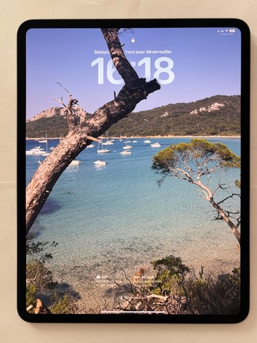 Ipad pro inch cellular - ipad, (m4)