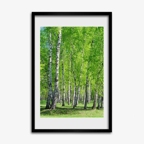 Tulup photo cadre - 40x60cm, le