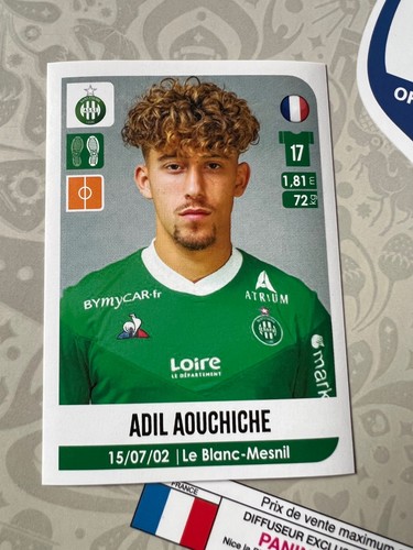 488 panini foot - foot,