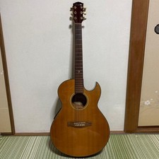 Guitare acoustique électrique