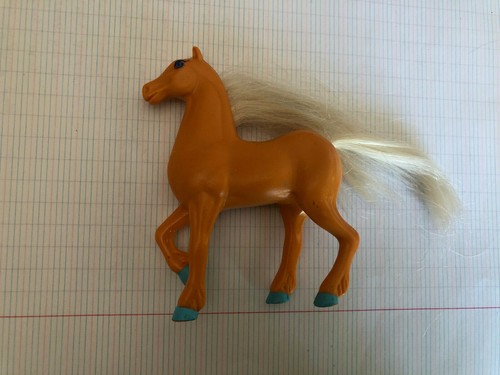 Cheval horse pour - cheval,
