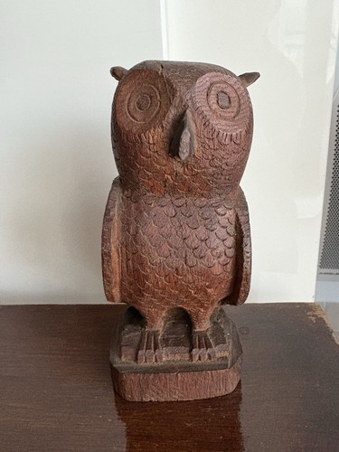Chouette hibou en - chouette, /hibou