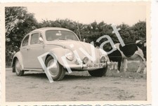 Photo Auto Voiture Oldtimer VW