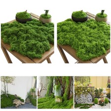 Tapis d'herbe en mousse