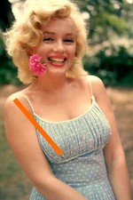 photo 10*15cm 4x6 INCH MARILYN MONROE (245)
