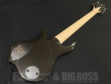 DINGWALL NG-3 6 cordes basse