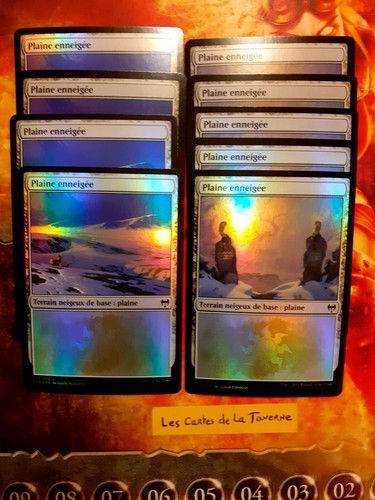 Lot cartes magic 14 plaine - magic, :