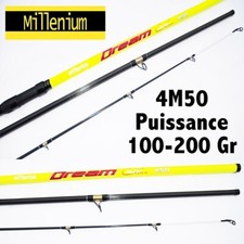 CANNE MER DREAM SURF MILLENIUM