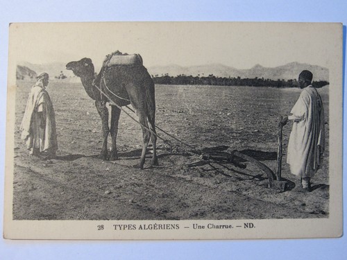 10c19 ancienne cpa carte - ancienne,