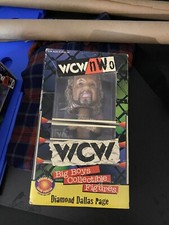 WCW/WWF/WWE RARE DDP Diamond