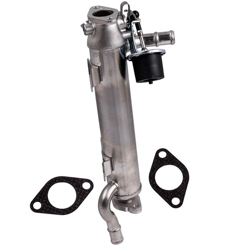 Egr refroidisseur for - refroidisseur,