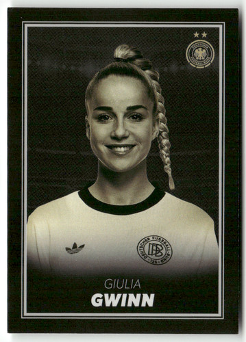 Panini dfb équipe féminine - dfb,