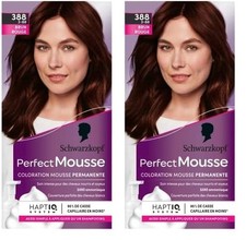 Perfect Mousse - Coloration