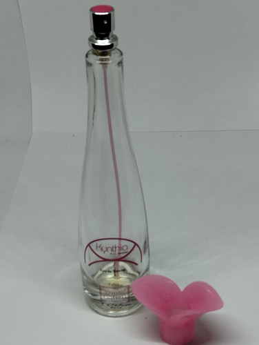 Flacon vaporisateur vide 100 - vaporisateur,