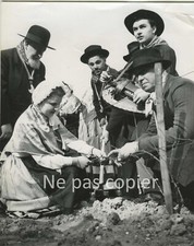 PARIS Montmartre les vignes vers 1950 Vielle à roue vin oenologie