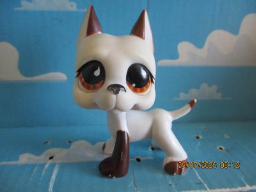 Petshop chien dogue argentin - petshop,