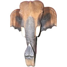 Tête d'éléphant