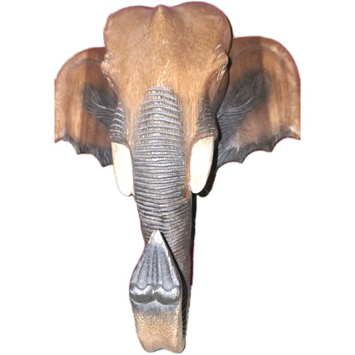 Tête éléphant - tête, d'éléphant