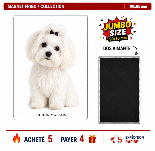 Magnet bichon maltais 90x65 - 90x65, mm