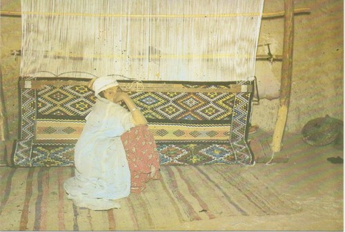 Algeria postcard carpet - postcard,,