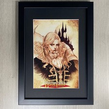 Art Encadré Castlevania