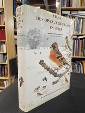 Dosithée (Yeatman-Berthelot 