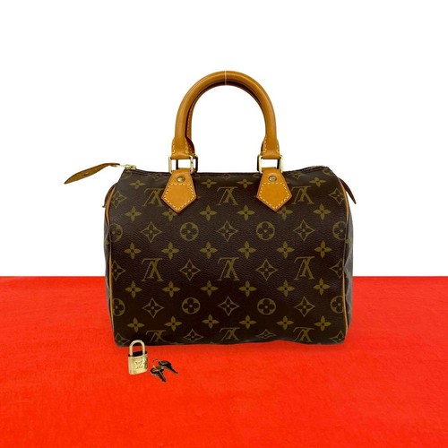 Sac main louis vuitton - main,