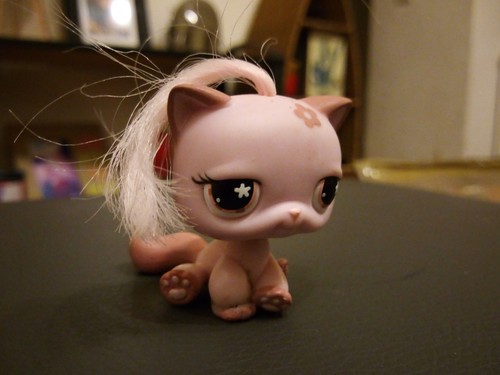 Petshop bébé chat rose - bébé,