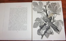 Buffon LES CHANTS DE LA FORET illustré burins Tavy Notton 1968 oiseaux