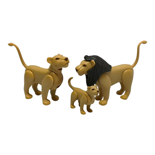 Sympa famille lion lionne - famille, +