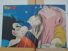 Poster Dragon Ball Z Vegeta