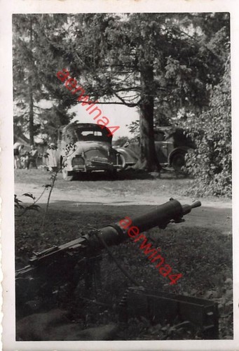 Dans voiture des - mg,
