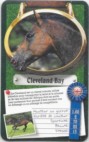 Carte top trumps chevaux - carte,