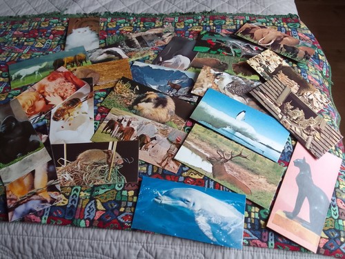 Cartes nestlé merveilles - cartes,