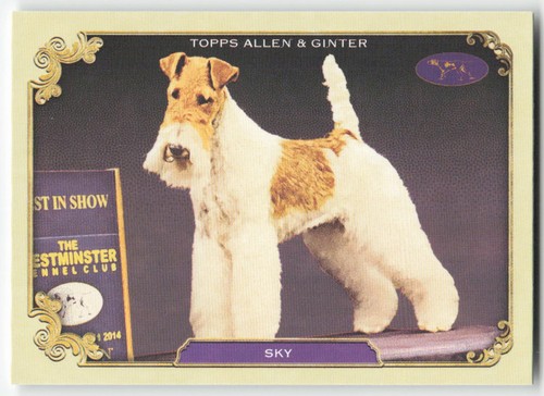 2024 topps allen ginter - allen, &