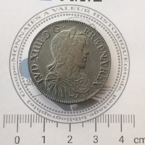 Louis xiv demi écu - louis, portrait